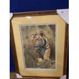 A STEVEN TOWNSEND FRAMED PRINT 'TIGER CUB' LIMITED EDITION 212/500 WHOLESALE PRICE £150