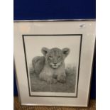 A JON BYE FRAMED PRINT 'PRIDE AND JOY' LEOPARD LIMITED EDITION 14/374 WHOLESALE PRICE £150