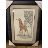 A WARWICK HIGGS FRAMED PRINT 'GIRAFFE AND CALF' LIMITED EDITION 24/850 WHOLESALE PRICE £95