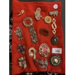 AN ASSORTMENT OF COSTUME JEWELLERY BROOCHES
