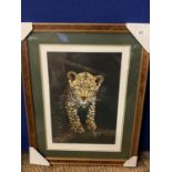 A STEVEN TOWNSEND FRAMED PRINT 'LEOPARD CUB' LIMITED EDITION 135/675 WHOLESALE PRICE £150
