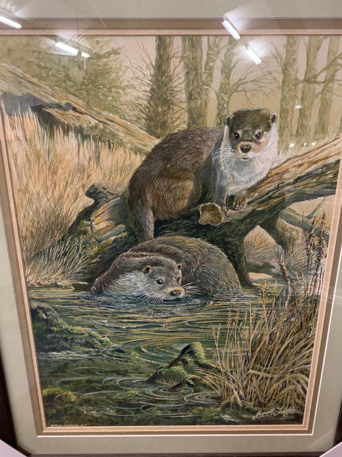 A JOSEPH TICKLE ORIGINAL FRAMED OTTER PAINTING 'EARLY MORNING DIP' WHOLESALE PRICE £200 - Image 2 of 4