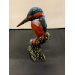 AN ANITA HARRIS HANDPAINTED AND SIGNED WOODPECKER