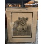 A JON BYE FRAMED PRINT 'PRIDE AND JOY' LEOPARD LIMITED EDITION 14/374 WHOLESALE PRICE £150