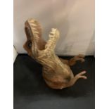 A T-REX DINOSAUR HEAD WALL HANGING ORNAMENT