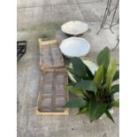 AN ASSORTMENT OF ITEMS TO INCLUDE THREE LARGE BOWLS, 12 GLASS CANDLE HOLDERS AND A HOUSE PLANT