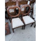 A PAIR OF VICTORIAN MAHOGANY BALLOON BACK DINING CHAIRS