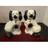 A PAIR OF BESWICK BLACK AND WHITE KING CHARLES SPANIELS