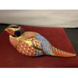 A ROYAL CROWN DERBY PHEASANT