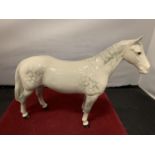 A BESWICK HUNTSMAN HORSE NUMBER 1484 DAPPLE GREY