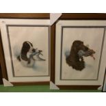 TWO FRAMED PRINTS BY RIAL