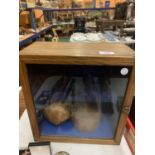 AN INLAID OAK GLASS CABINET TO INCLUDE TWO TREEN LIDDED BOWLS