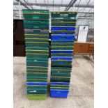 A LARGE QUANTITY OF PLASTIC TRAYS