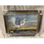 A CANVAS FRAMED PRINT OF AN EGRET BY RUTH MANN