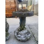 A STONE EFFECT BIRD BATH WITH OYSTER SHELL DESIGN