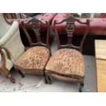 A PAIR OF EDWARDIAN PARLOUR CHAIRS