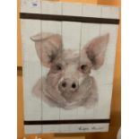 A SIGNED ACRYLIC ON WOODEN BOARD OF A PIG