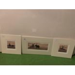 THREE LIMITED EDITION MOUNTED PRINTS BY STEF STEPHENSON