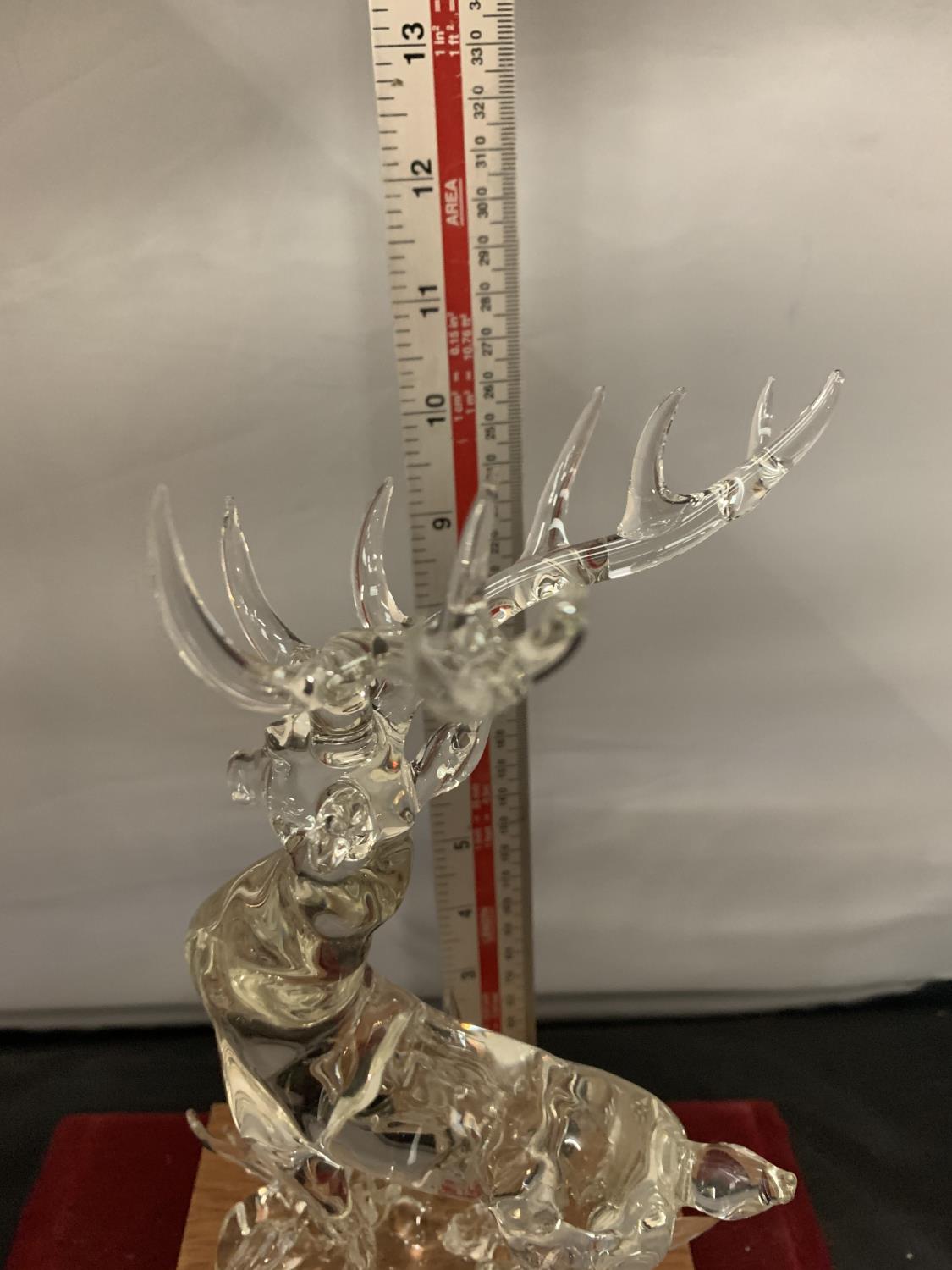A CRYSTAL GLASS SCULPTURE BY BONILLA OF A STAG - Image 4 of 5