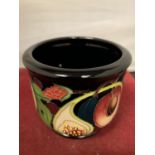 A MOORCROFT QUEENS CHOUCE PLANTER