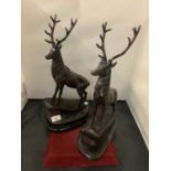 A PAIR OF BRONZE STAGS SIGNED J MOIGNIEZ H: 45CM