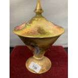 A ROYAL WINTON LIDDED CUP WITH GOLD DETAIL H:23CM