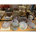 A LARGE COLLECTION OF COLLECTORS PLATES TO INCLUDE COALPORT, ROYAL ALBERT, AYNSLEY ETC