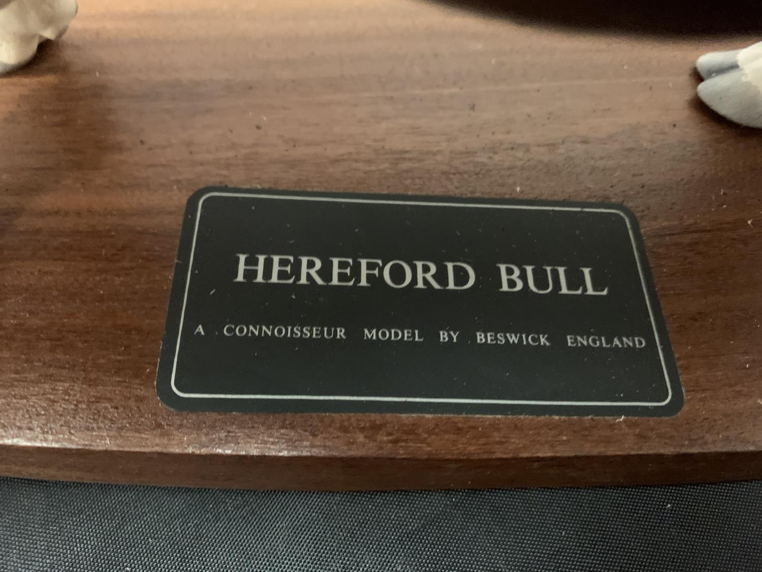 FOUR HEREFORD BULL ORNAMENTS TO INCLUDE A FURTHER SMALL BLACK BULL - Image 5 of 6