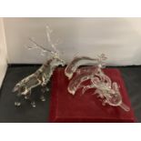TWO CRYSTAL GLASS SCULPTURES BY BONILLA, ONE IN THE FORM OF A STAG THE OTHER A TRIO OF DOLPHINS