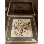 A PAIR OF FRAMED PRINTS DEPICTING FLORAL SUBJECTS