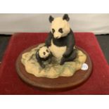 A BORDER FINE ARTS THE CHILTERN COLLECTION 'ENDANGERED SPECIES' RW19 GIANT PANDA AND CUB