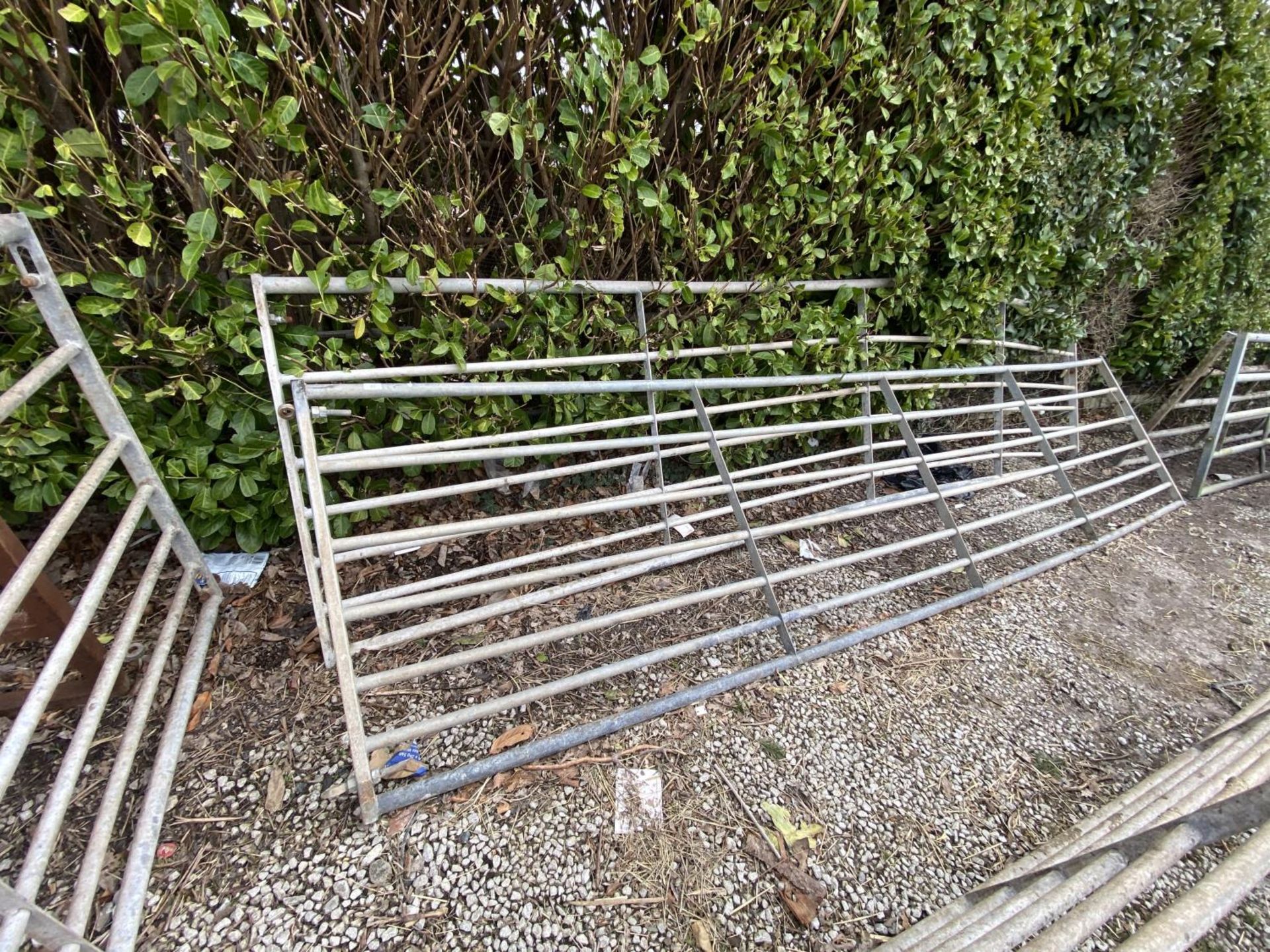 TWO GALVANISED GATES 16' LONG -+ VAT - Image 3 of 3