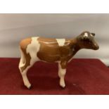 A BESWICK AYRSHIRE CALF