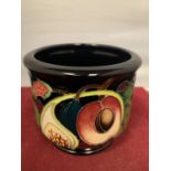 A MOORCROFT QUEENS CHOUCE PLANTER