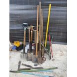 A LARGE COLLECTION OF VINTAGE GARDEN TOOLS TO INCLUDE SPADES, SHOVELS AND SHEARS ETC