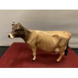 A BESWICK JERSEY COW