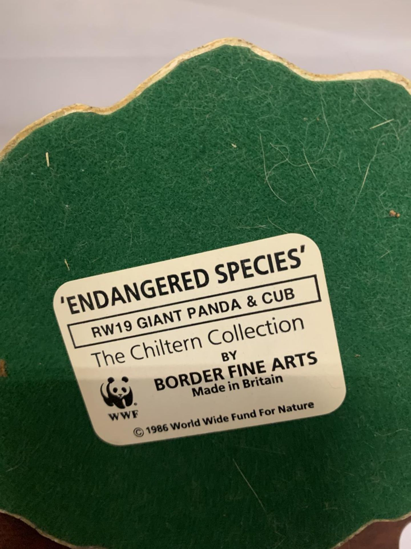 A BORDER FINE ARTS THE CHILTERN COLLECTION 'ENDANGERED SPECIES' RW19 GIANT PANDA AND CUB - Image 2 of 2