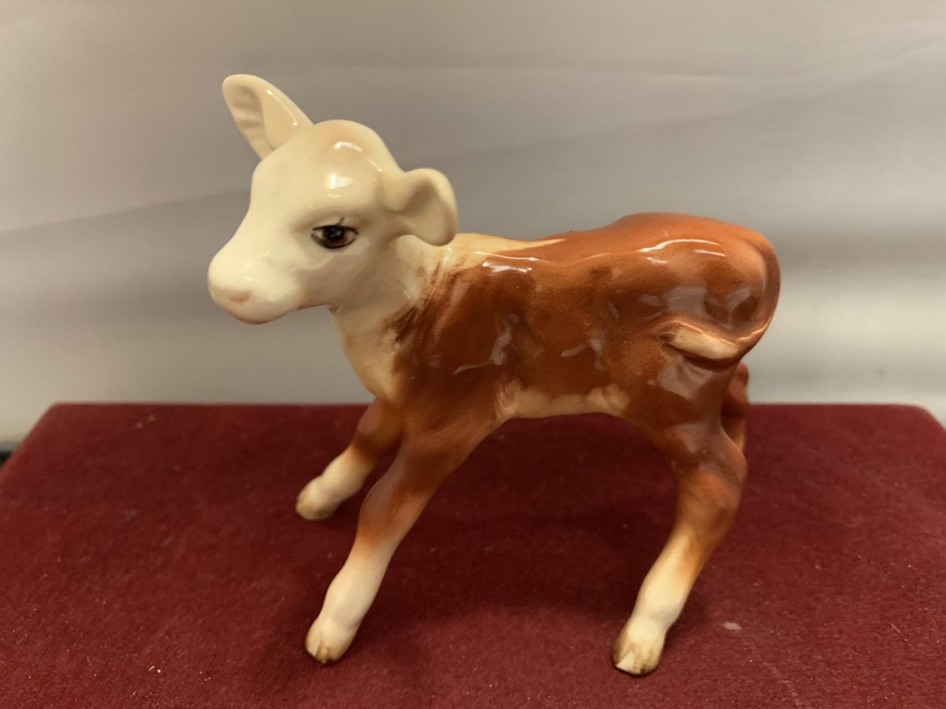 A BESWICK HEREFORD CALF