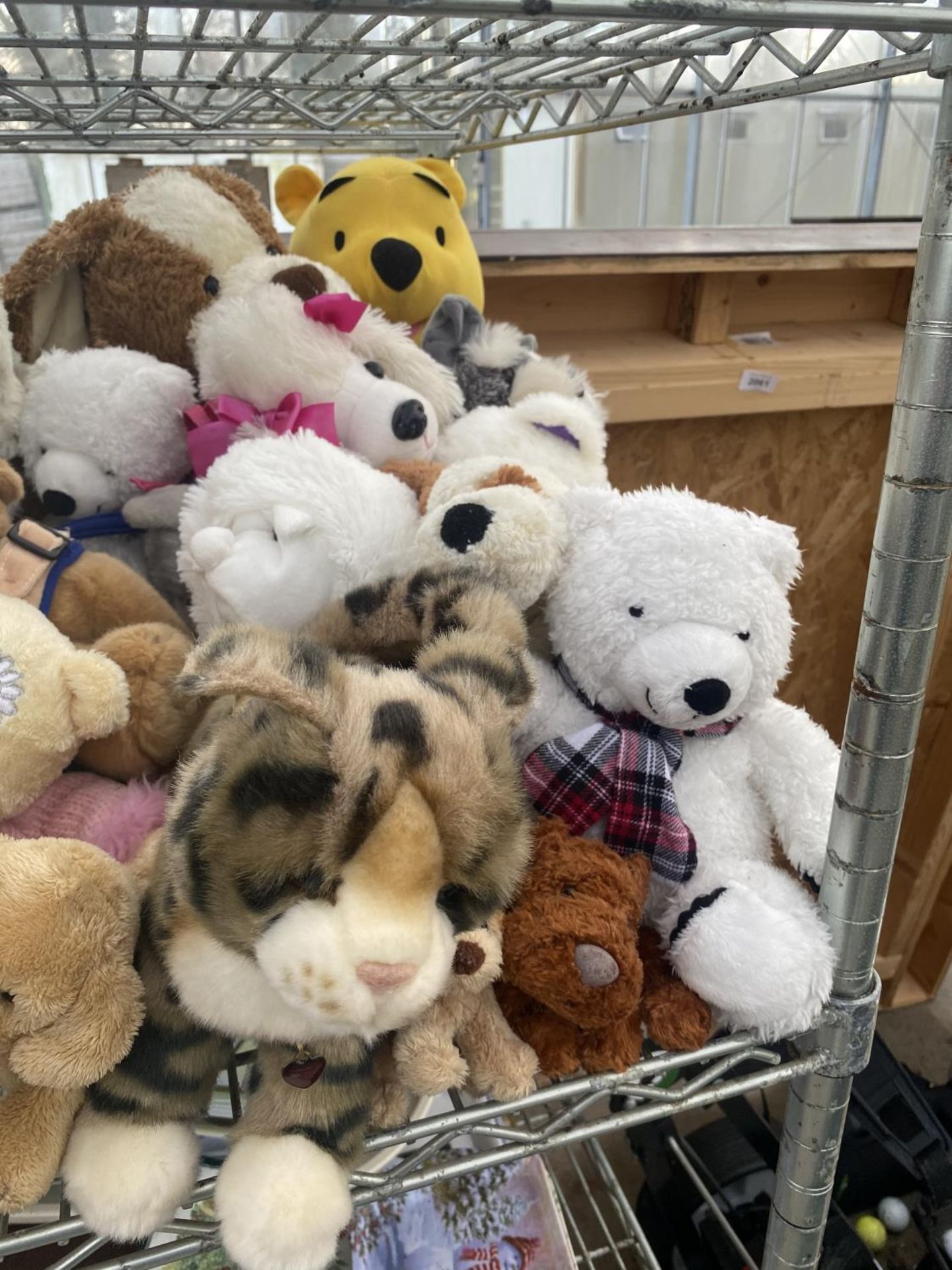 A LARGE QUANTITY OF SOFT TOYS TO INCLUDE WILDREPUBLIC AND FURREAL - Image 2 of 4