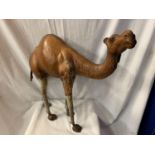 A VINTAGE LEATHERBOUND MODEL DROMEDARY CAMEL (LEATHER MISSING FROM THE LEGS) H: APPROX. 60CM