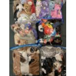 THIRTY THREE TY BEANIE BABIES WITH TAGS: PLEASE SEE PICTURES FOR FURTHER DESCRIPTION
