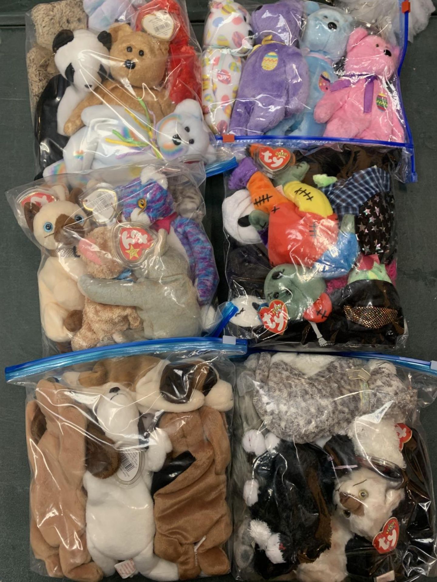 THIRTY THREE TY BEANIE BABIES WITH TAGS: PLEASE SEE PICTURES FOR FURTHER DESCRIPTION