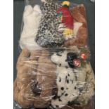 EIGHT LARGE TY BEANIE BABIES WITH TAGS: PLEASE SEE PICTURES FOR MORE DETAILS