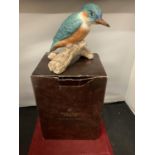 A COUNTRY ARTIST KINGFISHER WITH A BOX