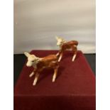 TWO BESWICK HEREFORD CALVES
