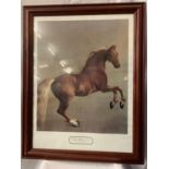 A FRAMED PRINT 'WHISTLEJACKET' BY GEORGE STUBBS 1724-1806 (92 CMS X 72 CMS