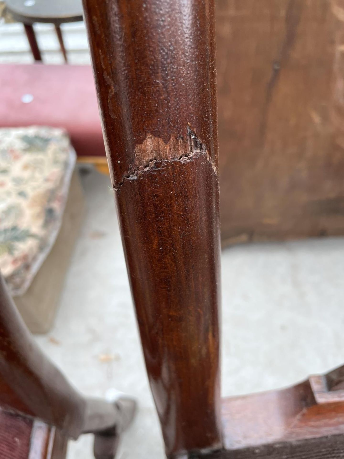 A PAIR OF QUEEN ANNE STYLE DINING CHAIRS, THE TAPERED SEATS WITH EXOTIC BIRD DECORATION - Image 5 of 5