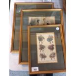 A PAIR OF GILT FRAMED 'LE FOLLET' ETCHINGS AND A FURTHER GILT FRAMED PICTURE OF EXAMPLES OF FRENCH
