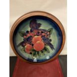 A MOORCROFT BLUE FINCHES PLATE 10 INCHES DIAMETER IN A WOODEN SURROUND
