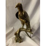 A LARGE BRASS SCULPTURE OF A BIRD OF PREY - 39CM HIGH